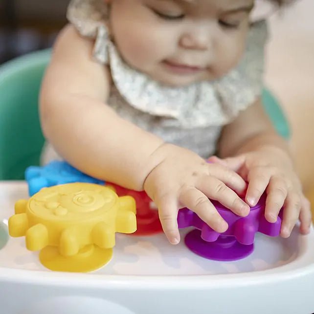Baby Einstein | Gears of Discovery | Zuignap Tandwielen | 6 maanden+ - Kleine Eland