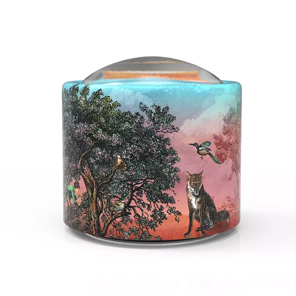 Belle Lurette Music | Brilly Muziekmechaniek | 7 cm | Peter & the wolf (Prokofiev) - Kleine Eland