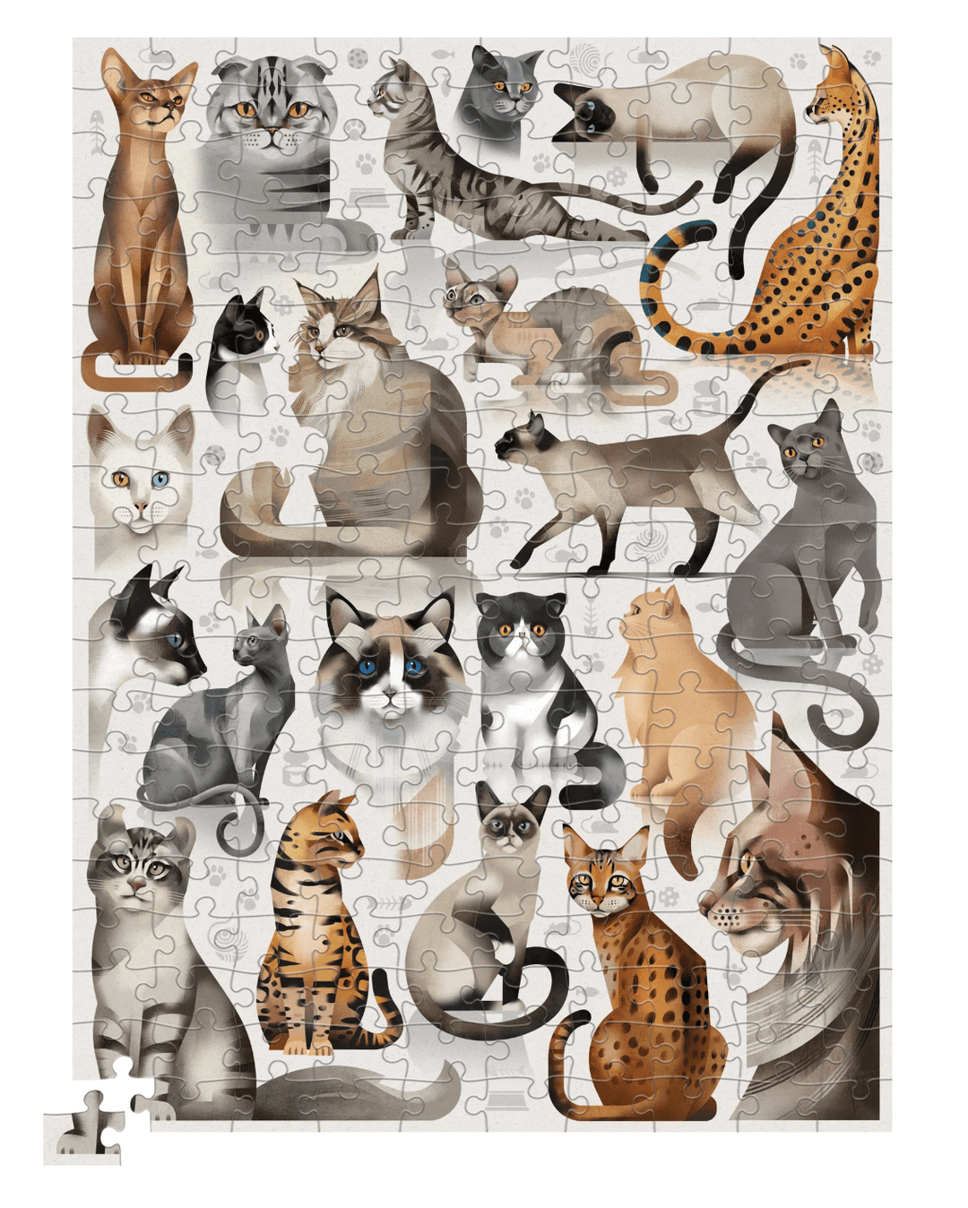 Crocodile Creek | Poster &amp; Puzzle | Popular Cat Breeds | 200 pcs | 8+ - Kleine Eland