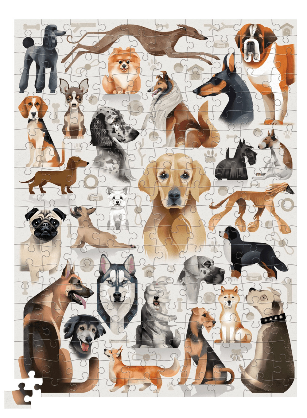 Crocodile Creek | Poster & Puzzle | Popular Dog Breeds | 200 pcs | 8+ - Kleine Eland