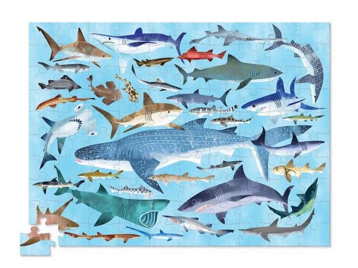 Crocodile Creek | Puzzle | Sharks | 100 stukjes | 5+ - Kleine Eland