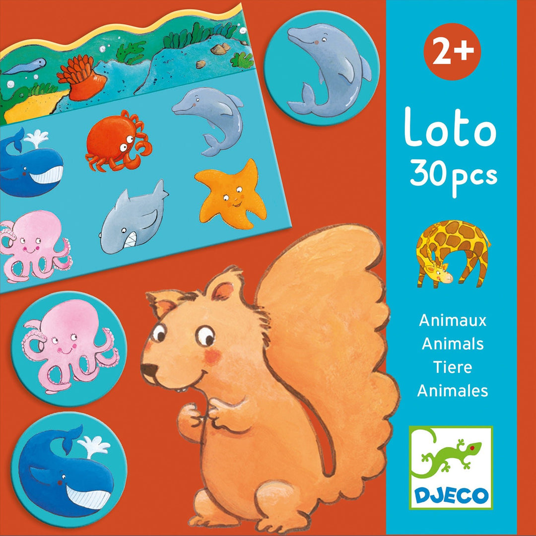 Djeco | Lotto | Animals | 35 delig | 2+ - Kleine Eland