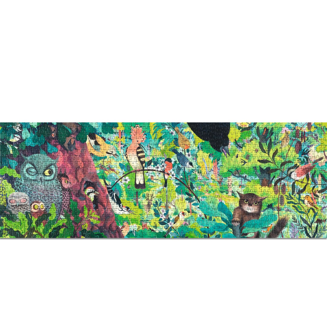 Djeco | Puzzel | Owls and birds | 1000 stukjes | 9+ - Kleine Eland