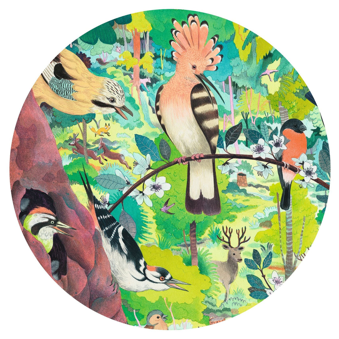 Djeco | Puzzel | Owls and birds | 1000 stukjes | 9+ - Kleine Eland