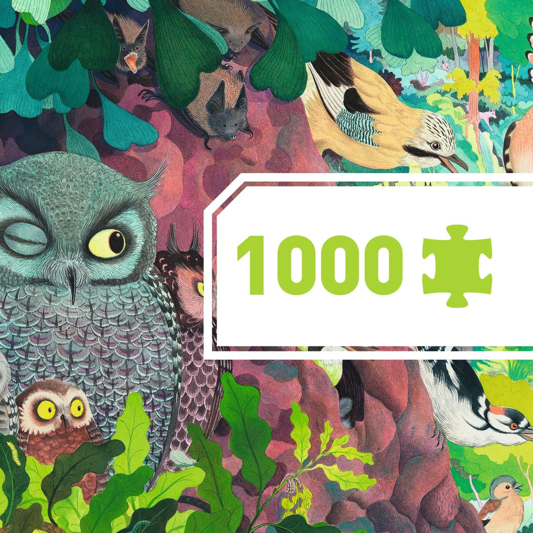 Djeco | Puzzel | Owls and birds | 1000 stukjes | 9+ - Kleine Eland