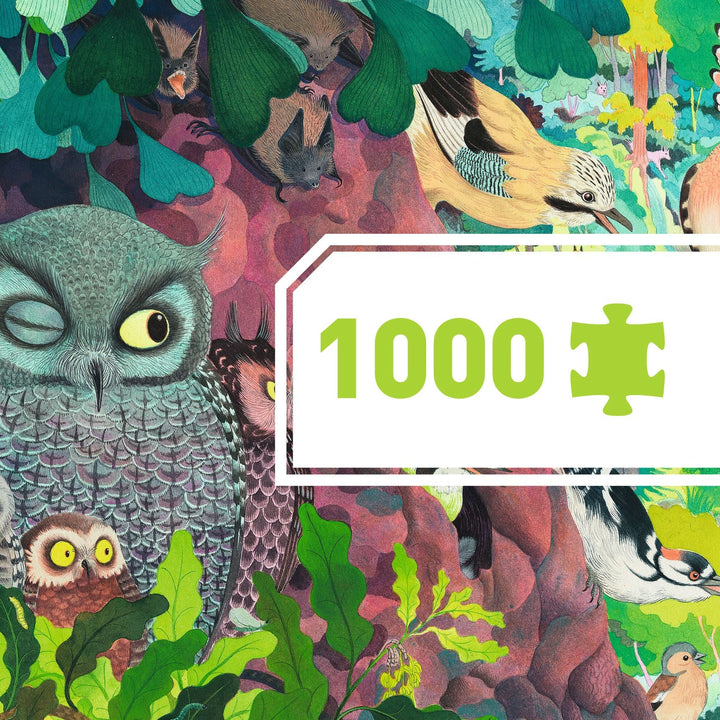 Djeco | Puzzel | Owls and birds | 1000 stukjes | 9+ - Kleine Eland