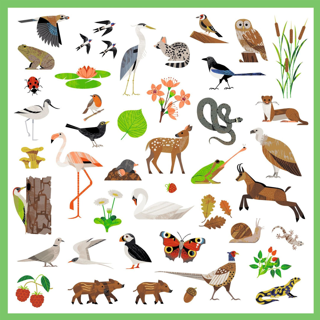 Djeco | Stickers | Fauna | Europese dieren | 160 stuks | 4-7 jaar - Kleine Eland