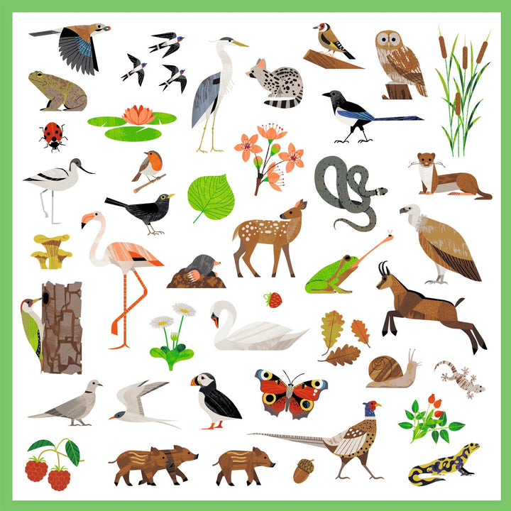 Djeco | Stickers | Fauna | Europese dieren | 160 stuks | 4-7 jaar - Kleine Eland