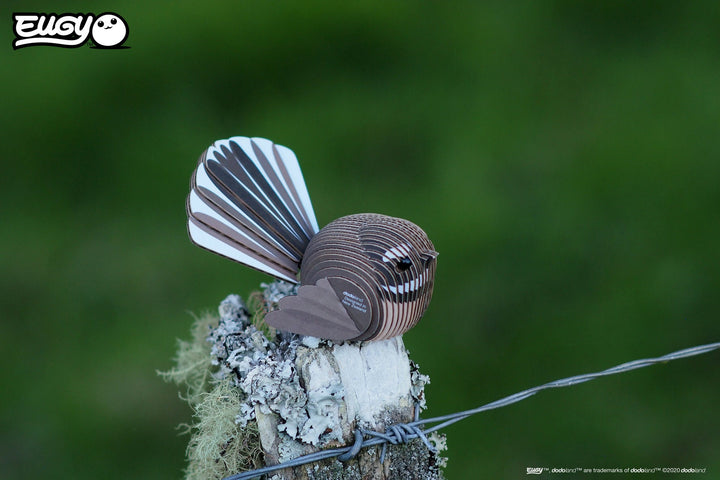 Eugy | 3D Cardboard Model Kit | Bird Life | Fantail | 6+ - Kleine Eland