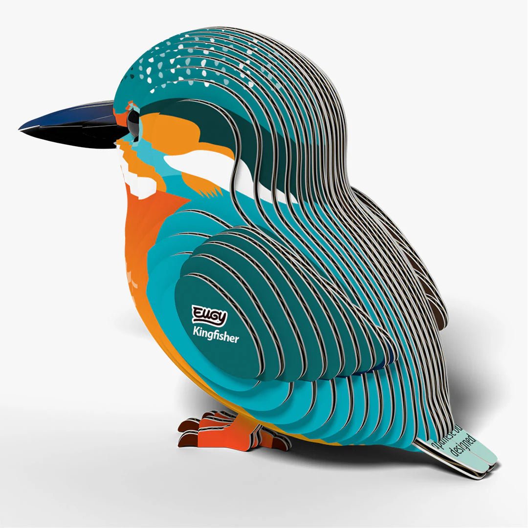 Eugy | 3D Cardboard Model Kit | Bird Life | IJsvogel | 33 stukjes | 6+ - Kleine Eland