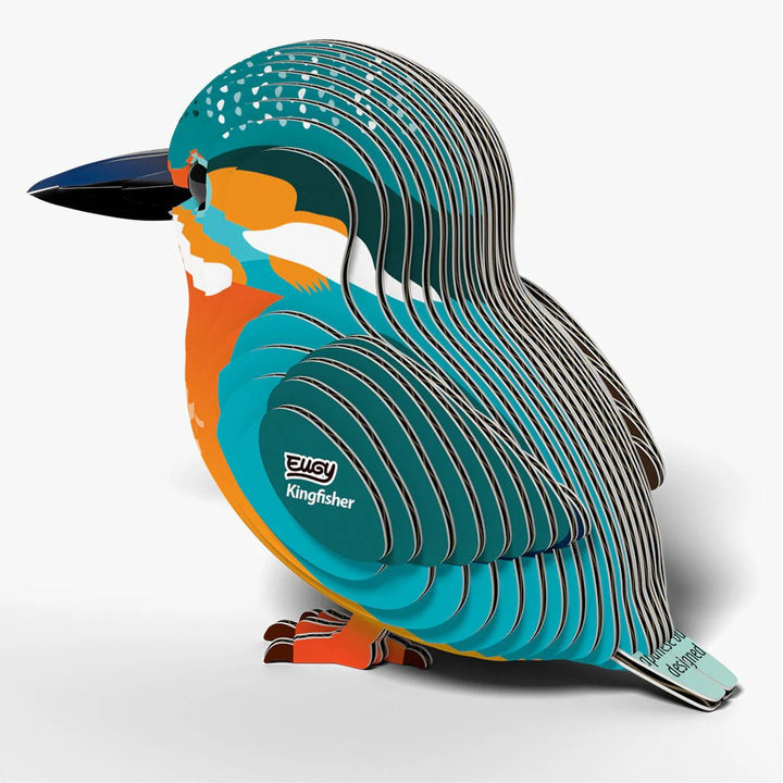 Eugy | 3D Cardboard Model Kit | Bird Life | IJsvogel | 33 stukjes | 6+ - Kleine Eland