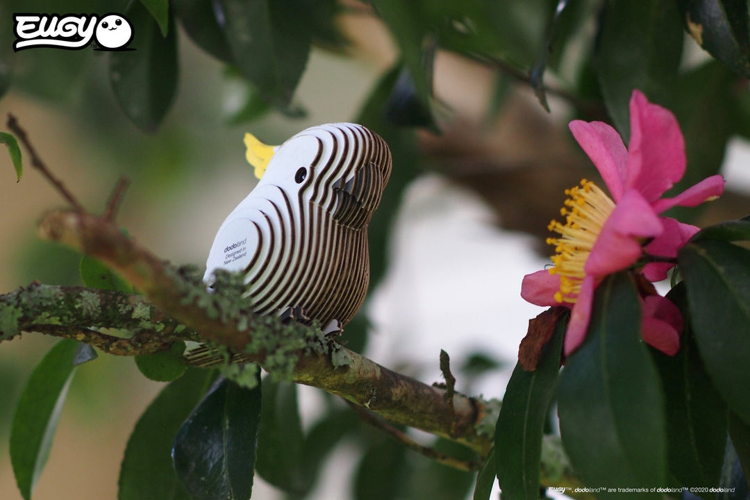 Eugy | 3D Cardboard Model Kit | Bird Life | Kaketoe | 6+ - Kleine Eland