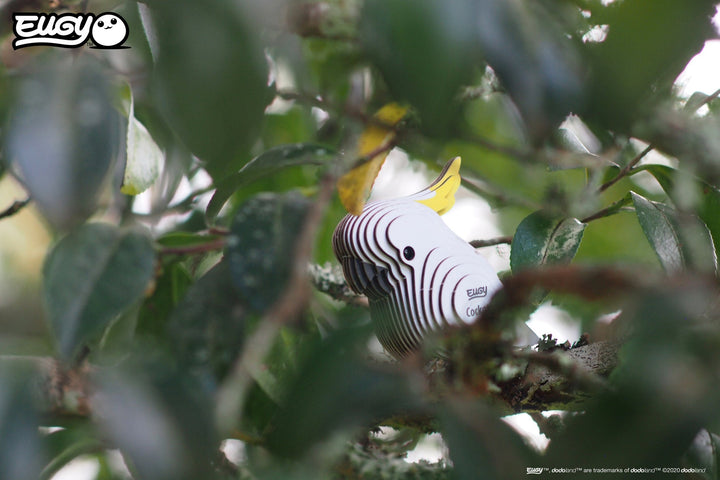 Eugy | 3D Cardboard Model Kit | Bird Life | Kaketoe | 6+ - Kleine Eland