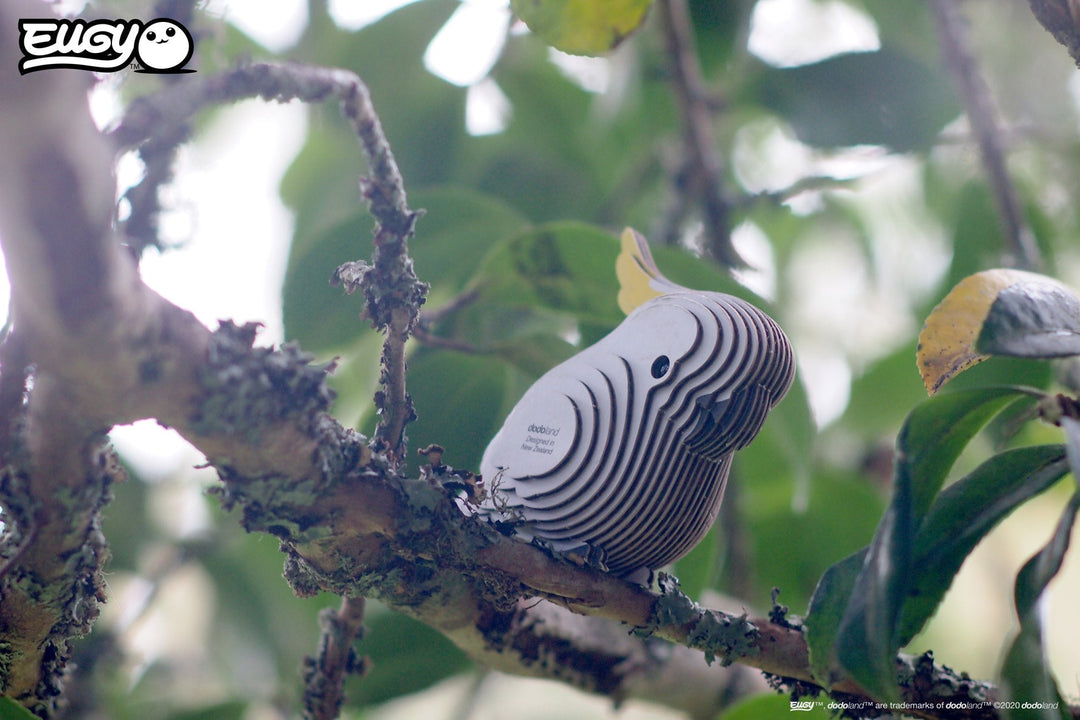 Eugy | 3D Cardboard Model Kit | Bird Life | Kaketoe | 6+ - Kleine Eland