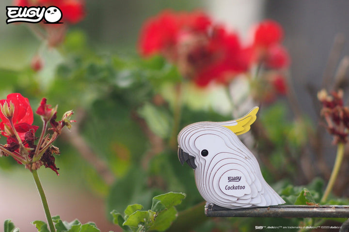Eugy | 3D Cardboard Model Kit | Bird Life | Kaketoe | 6+ - Kleine Eland