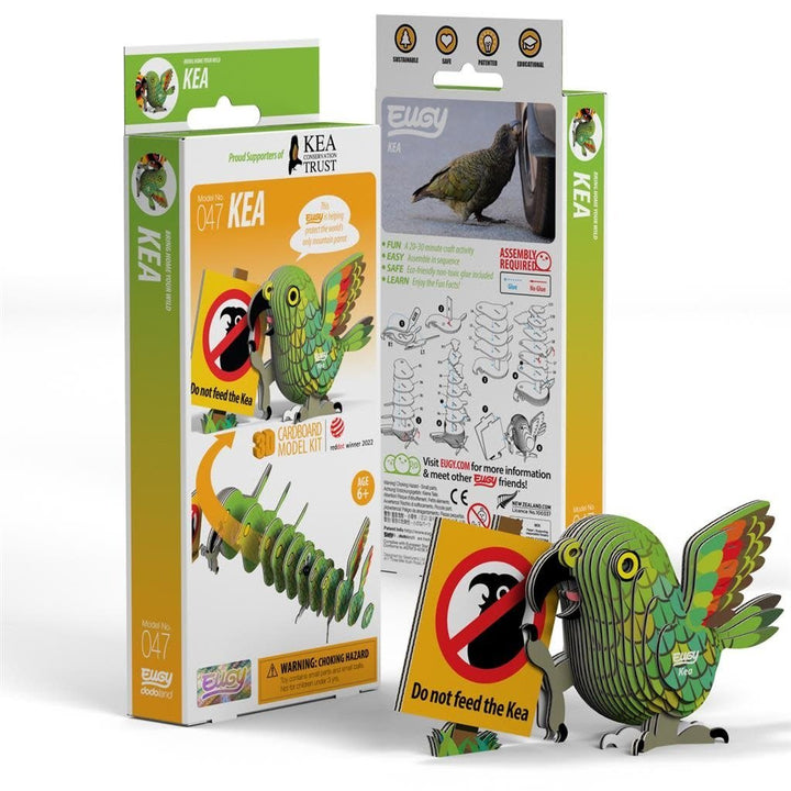 Eugy | 3D Cardboard Model Kit | Bird Life | Kea | 6+ - Kleine Eland