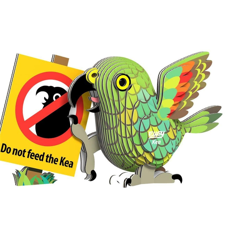 Eugy | 3D Cardboard Model Kit | Bird Life | Kea | 6+ - Kleine Eland