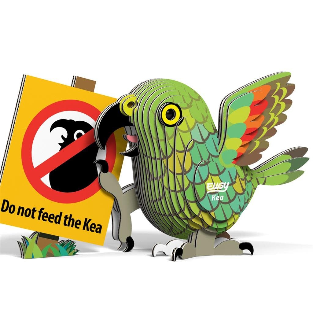 Eugy | 3D Cardboard Model Kit | Bird Life | Kea | 6+ - Kleine Eland