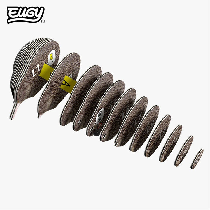 Eugy | 3D Cardboard Model Kit | Bird Life | Kiwi | 27 stukjes | 6+ - Kleine Eland
