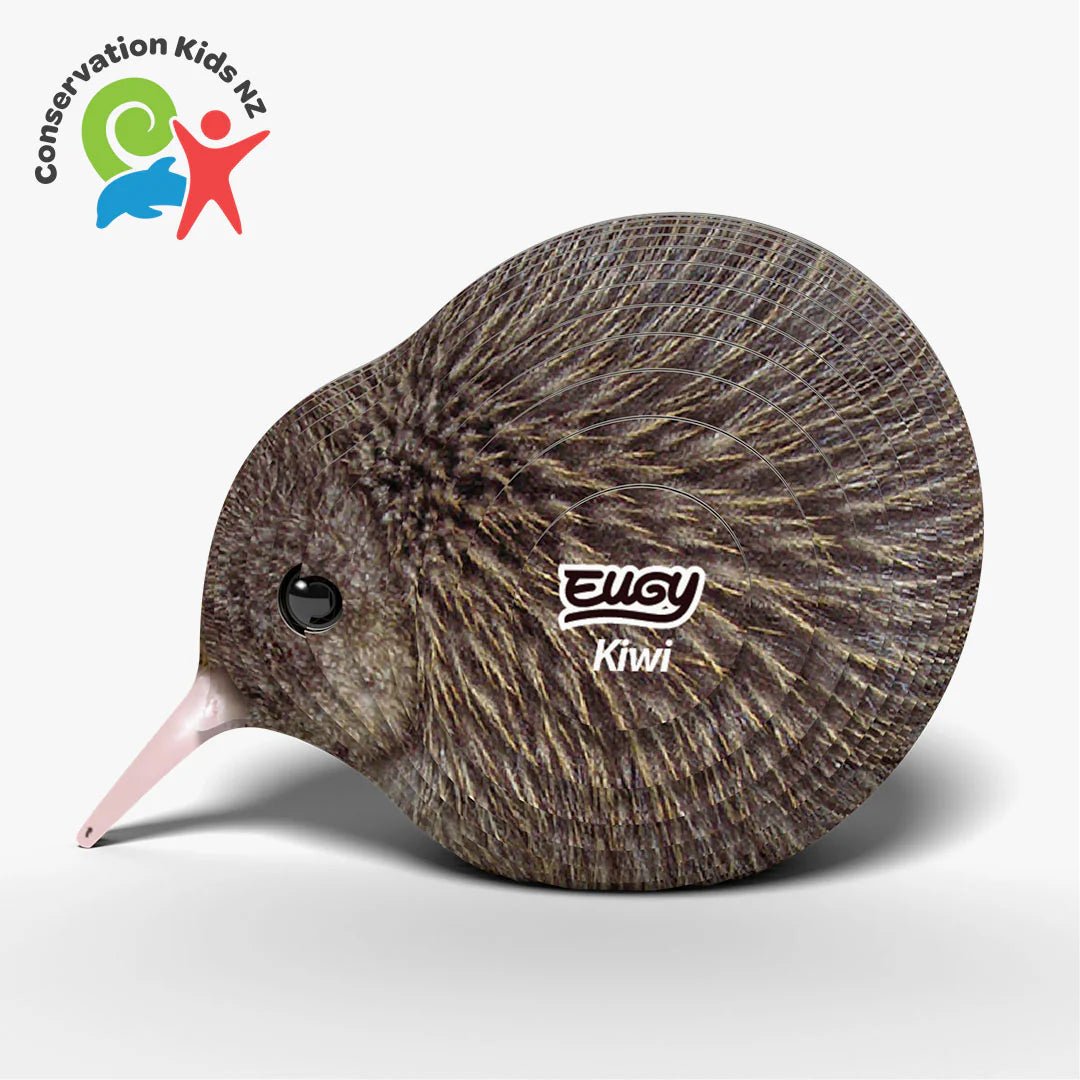 Eugy | 3D Cardboard Model Kit | Bird Life | Kiwi | 27 stukjes | 6+ - Kleine Eland