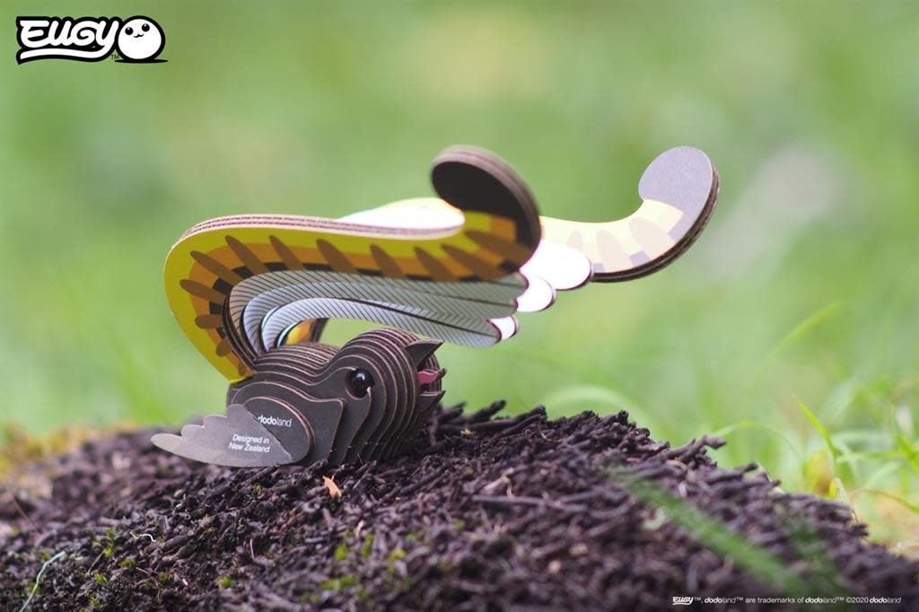 Eugy | 3D Cardboard Model Kit | Bird Life | Lyre Bird - Liervogel | 6+ - Kleine Eland