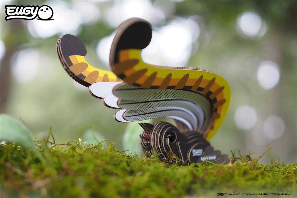 Eugy | 3D Cardboard Model Kit | Bird Life | Lyre Bird - Liervogel | 6+ - Kleine Eland