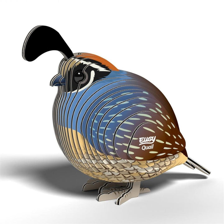 Eugy | 3D Cardboard Model Kit | Bird Life | Quail - Kwartel | 6+ - Kleine Eland