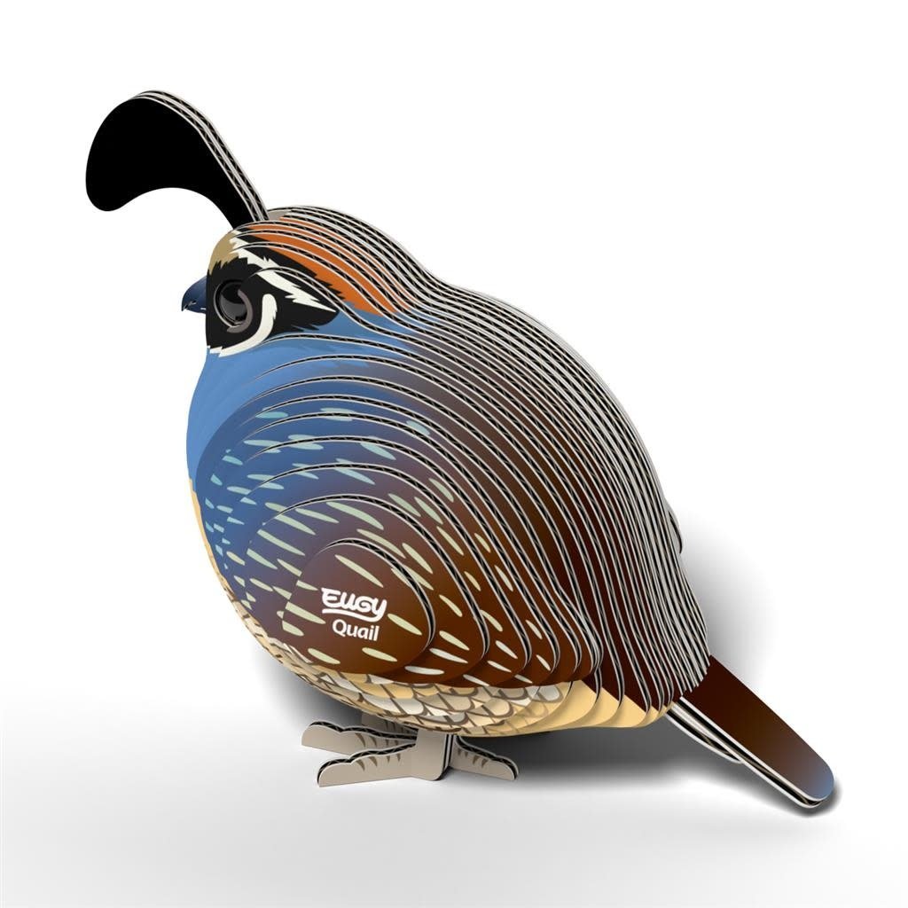 Eugy | 3D Cardboard Model Kit | Bird Life | Quail - Kwartel | 6+ - Kleine Eland