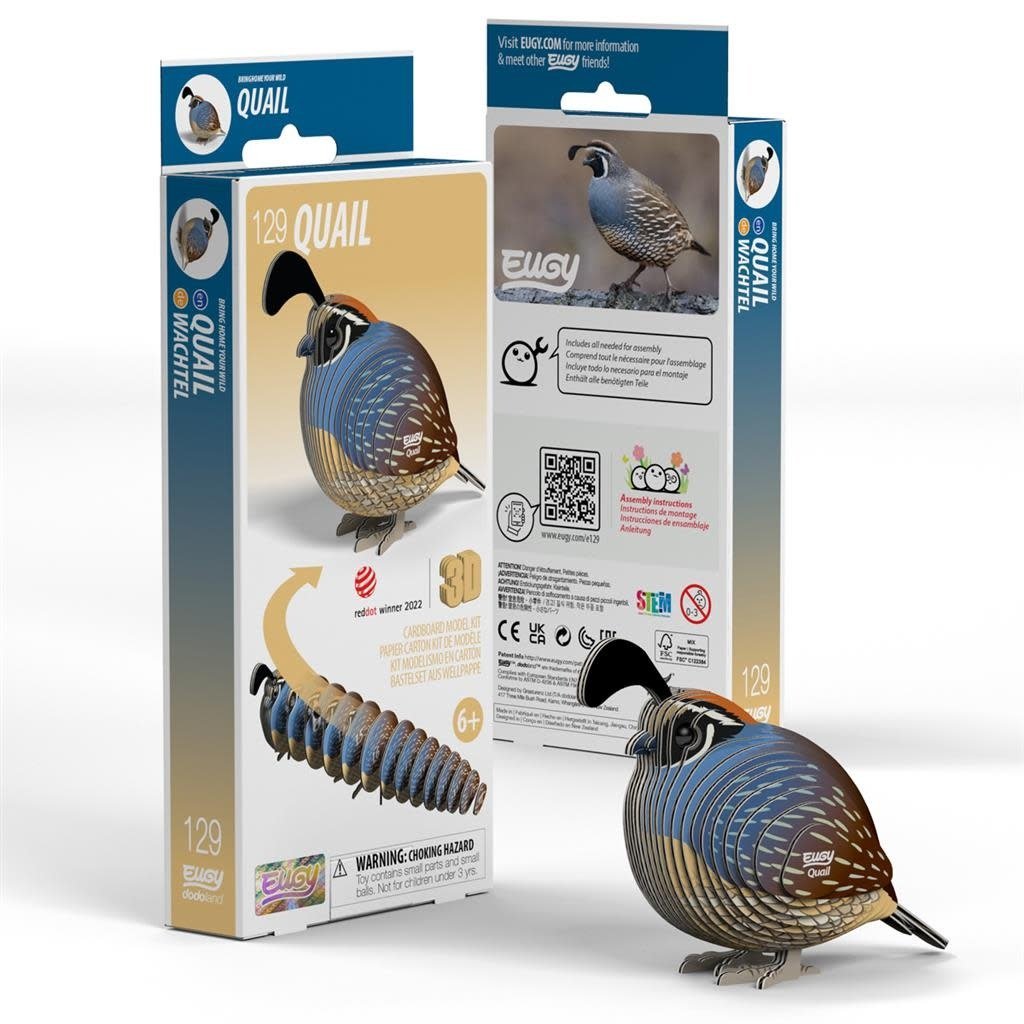 Eugy | 3D Cardboard Model Kit | Bird Life | Quail - Kwartel | 6+ - Kleine Eland