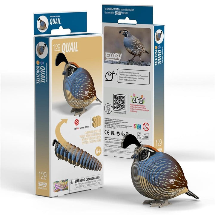 Eugy | 3D Cardboard Model Kit | Bird Life | Quail - Kwartel | 6+ - Kleine Eland