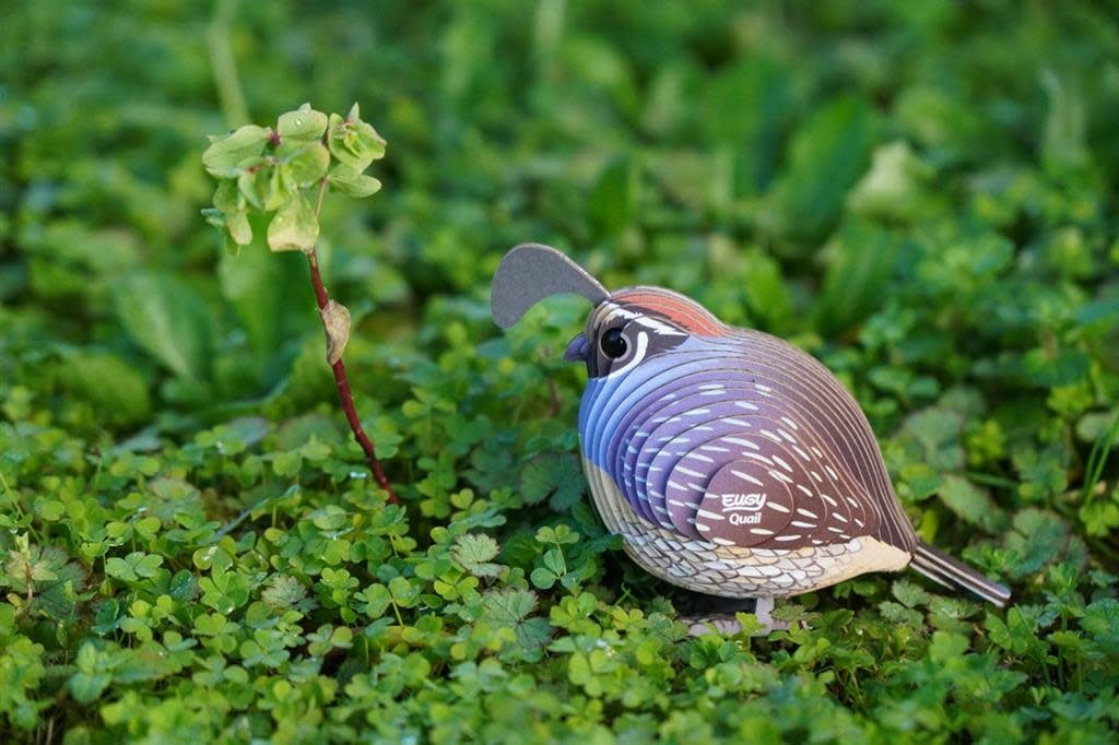 Eugy | 3D Cardboard Model Kit | Bird Life | Quail - Kwartel | 6+ - Kleine Eland