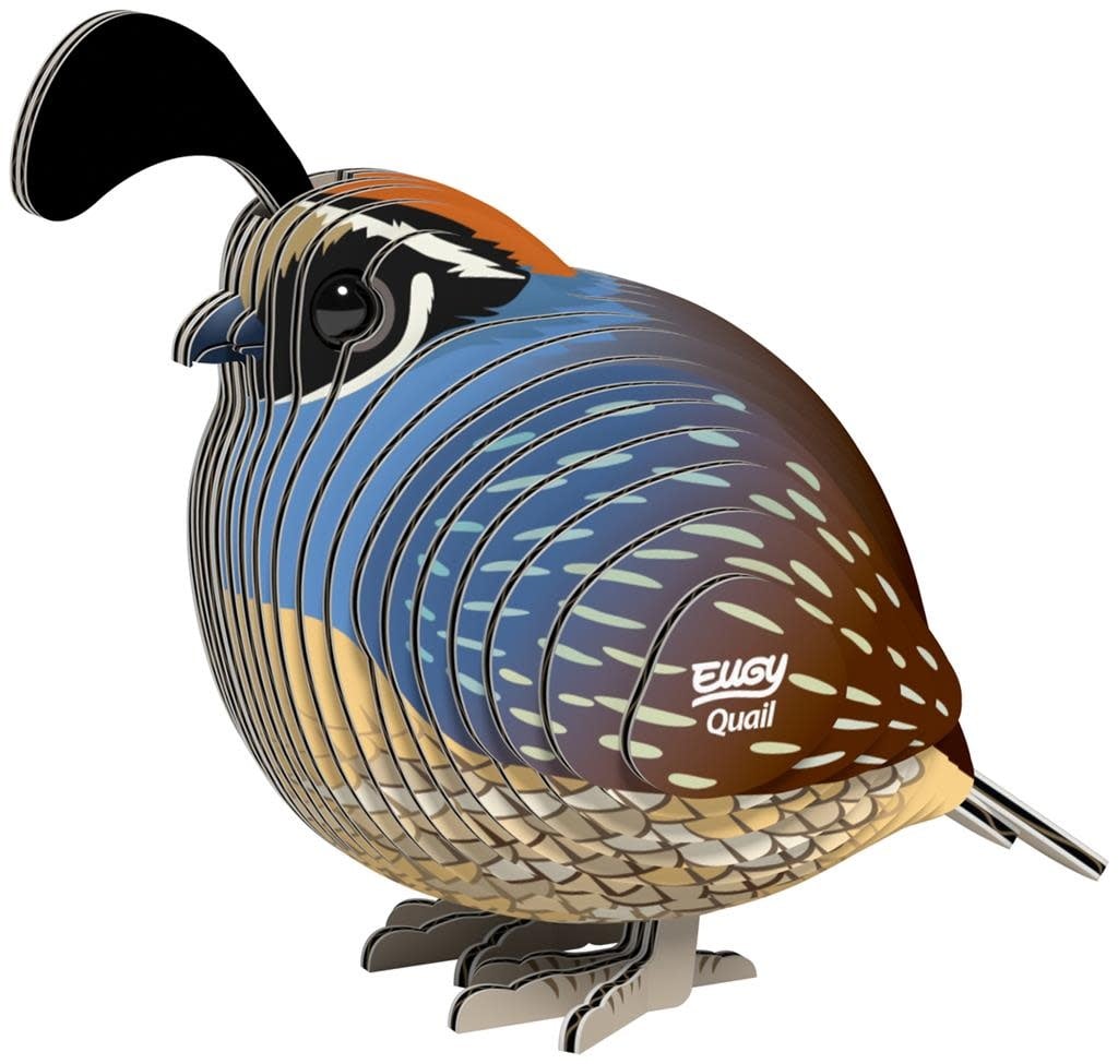Eugy | 3D Cardboard Model Kit | Bird Life | Quail - Kwartel | 6+ - Kleine Eland