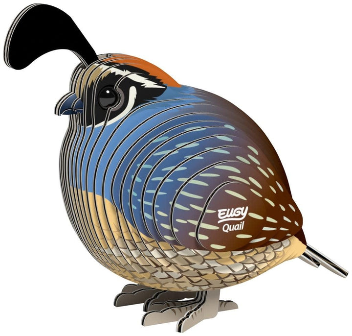 Eugy | 3D Cardboard Model Kit | Bird Life | Quail - Kwartel | 6+ - Kleine Eland