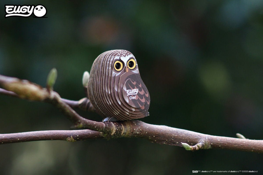 Eugy | 3D Cardboard Model Kit | Bird Life | Uil | 6+ - Kleine Eland