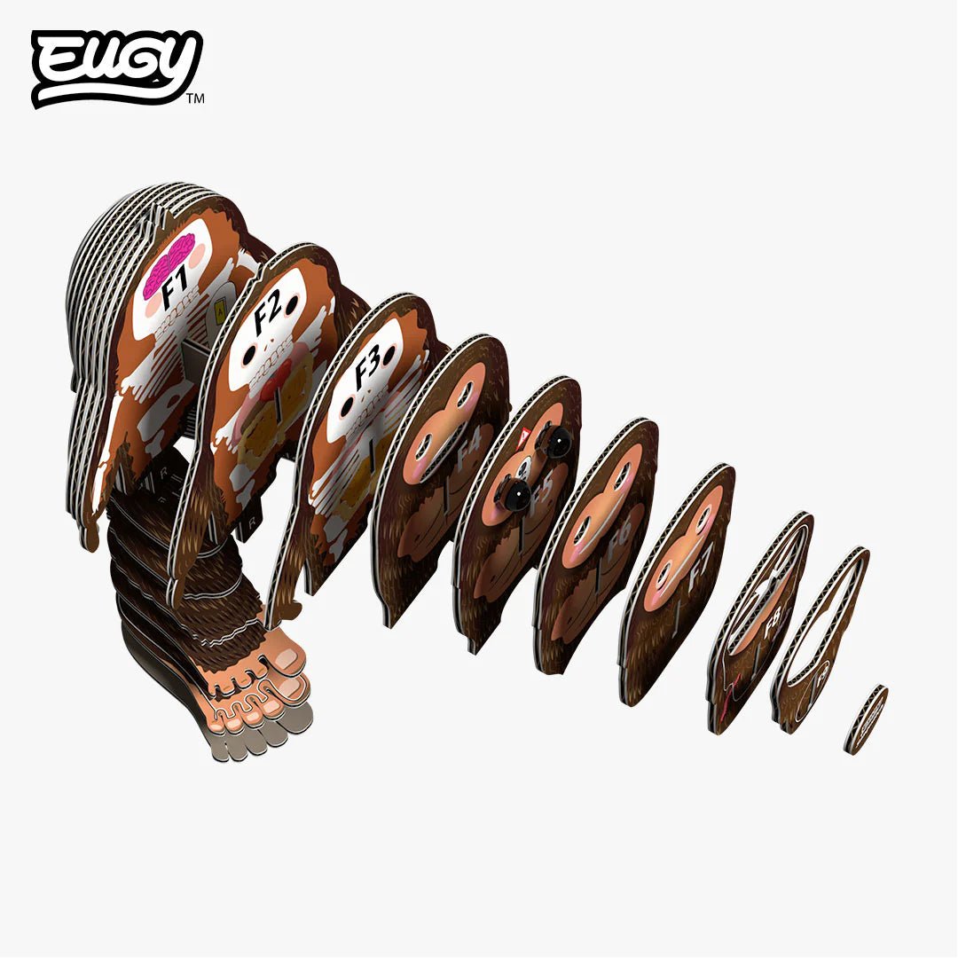 Eugy | 3D Cardboard Model Kit | Fantasy | Bigfoot | 36 stukjes | 6+ - Kleine Eland