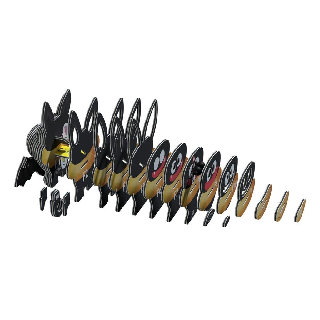 Eugy | 3D Cardboard Model Kit | Het enig vliegende zoogdier | Vleermuis | 6+ - Kleine Eland