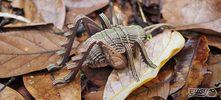 Eugy | 3D Cardboard Model Kit | Insects | Sprinkhaan | 6+ - Kleine Eland