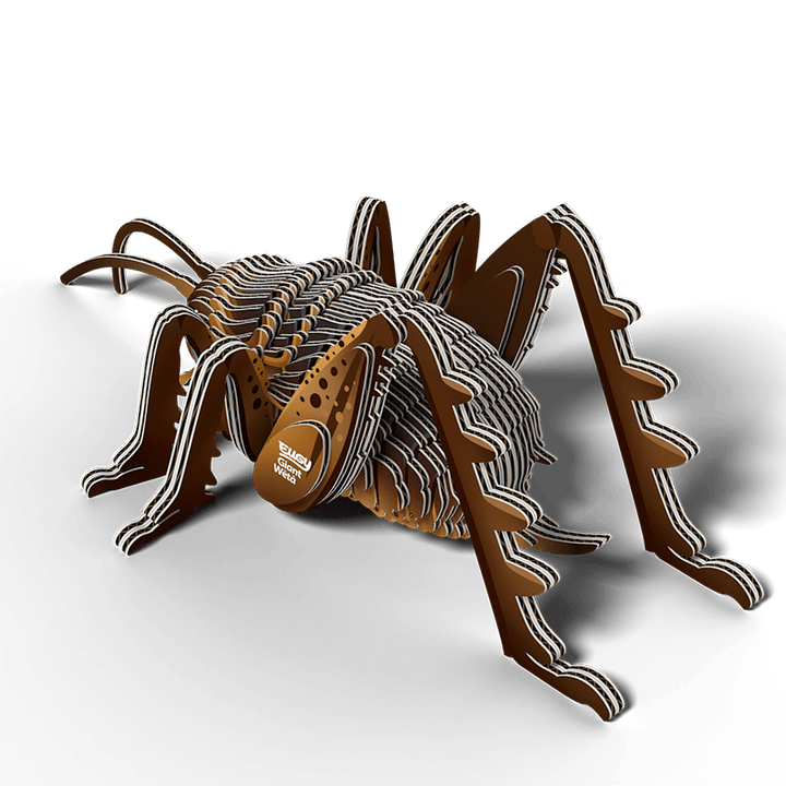 Eugy | 3D Cardboard Model Kit | Insects | Sprinkhaan | 6+ - Kleine Eland