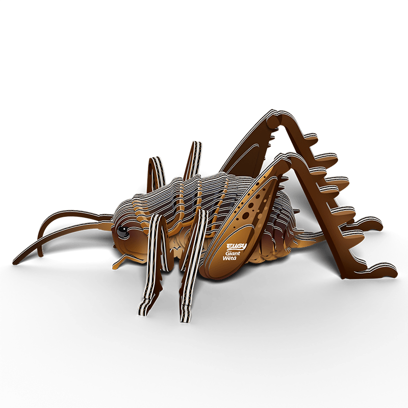 Eugy | 3D Cardboard Model Kit | Insects | Sprinkhaan | 6+ - Kleine Eland