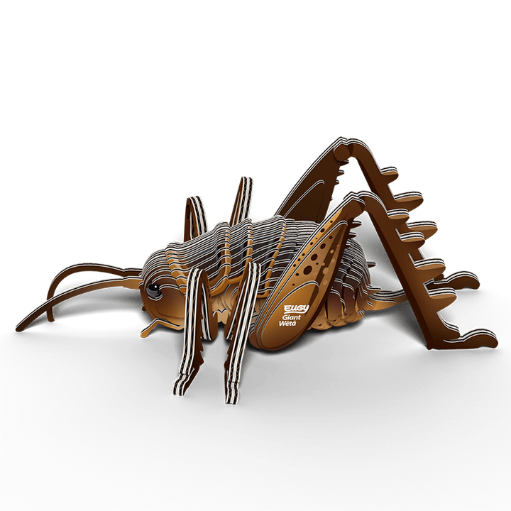 Eugy | 3D Cardboard Model Kit | Insects | Sprinkhaan | 6+ - Kleine Eland