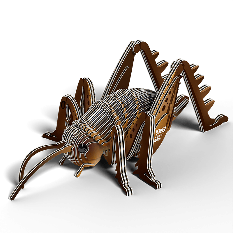 Eugy | 3D Cardboard Model Kit | Insects | Sprinkhaan | 6+ - Kleine Eland