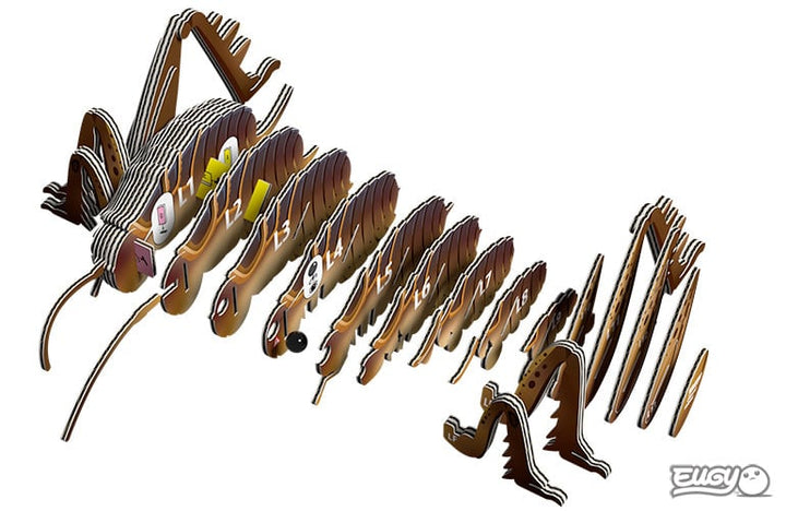 Eugy | 3D Cardboard Model Kit | Insects | Sprinkhaan | 6+ - Kleine Eland