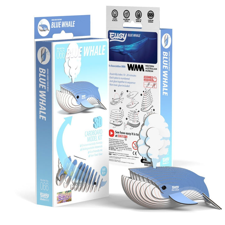 Eugy | 3D Cardboard Model Kit | Sea Life | Blauwe Vinvis | 6+ - Kleine Eland