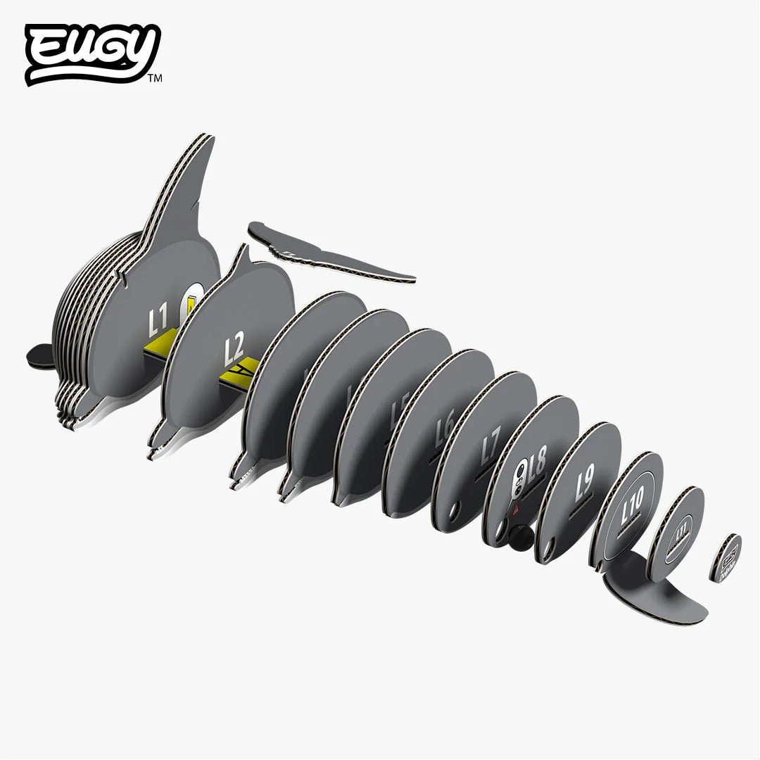 Eugy | 3D Cardboard Model Kit | Sea Life | Dolfijn | 28 stukjes | 6+ - Kleine Eland