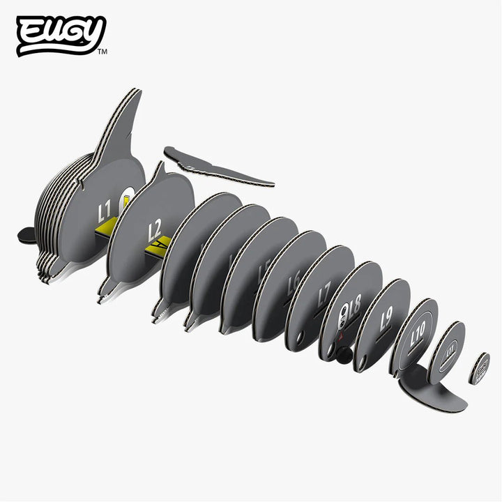 Eugy | 3D Cardboard Model Kit | Sea Life | Dolfijn | 28 stukjes | 6+ - Kleine Eland