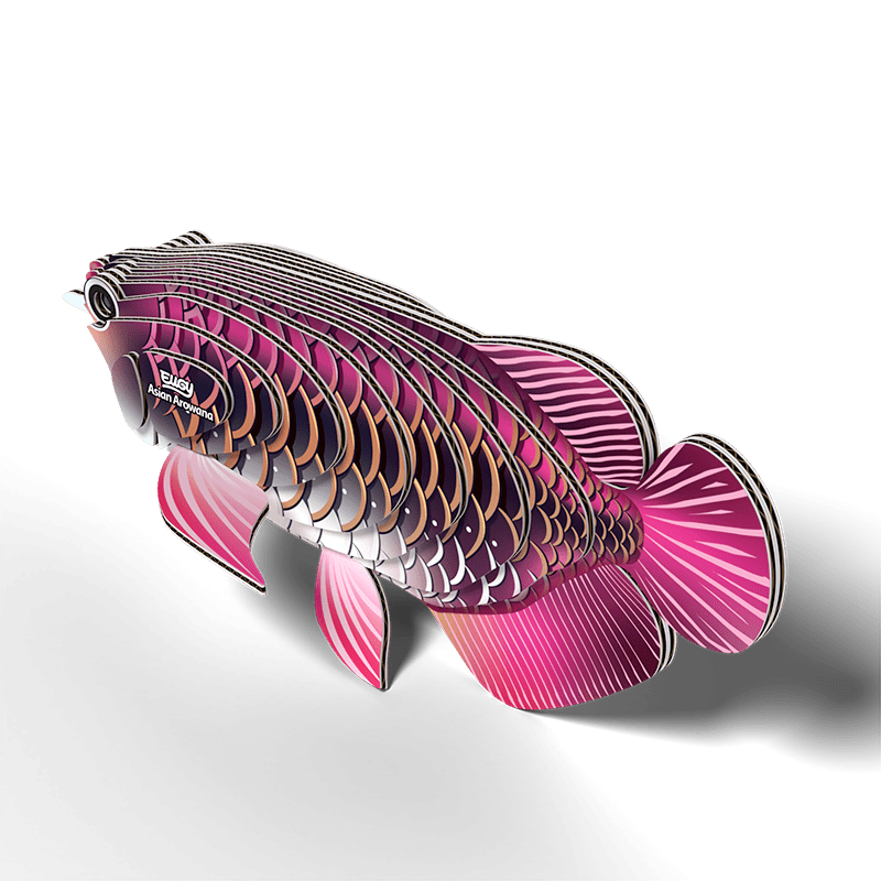 Eugy | 3D Cardboard Model Kit | Sea Life | Drakenvis | 6+ - Kleine Eland