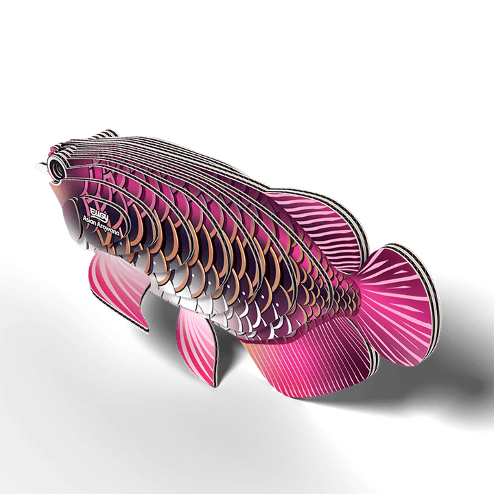 Eugy | 3D Cardboard Model Kit | Sea Life | Drakenvis | 6+ - Kleine Eland