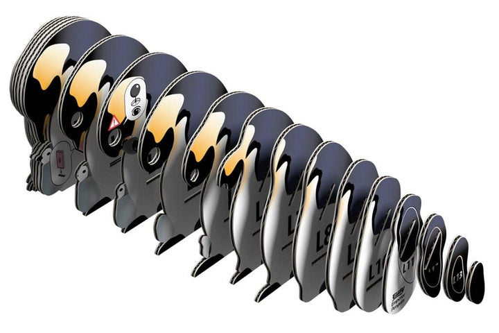 Eugy | 3D Cardboard Model Kit | Sea Life | Emperor Penguin | 6+ - Kleine Eland