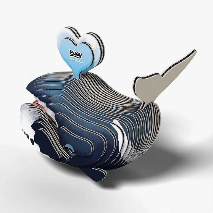 Eugy | 3D Cardboard Model Kit | Sea Life | Groenlandse Walvis | 34 stukjes | 6+ - Kleine Eland
