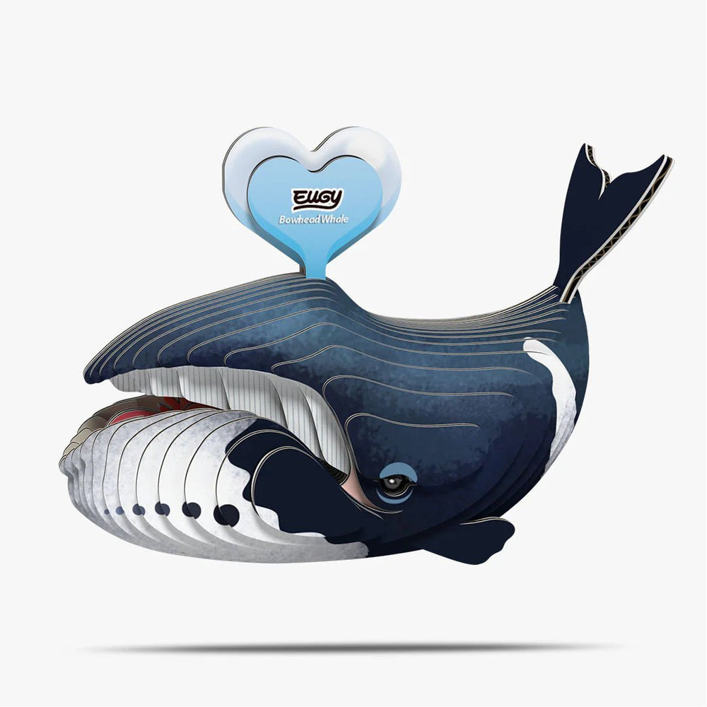 Eugy | 3D Cardboard Model Kit | Sea Life | Groenlandse Walvis | 34 stukjes | 6+ - Kleine Eland
